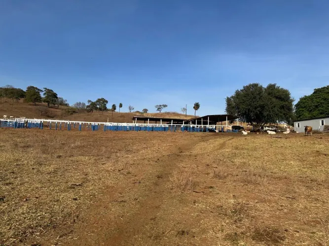 Fazenda 77 alqueires em Goiás velho-GO
