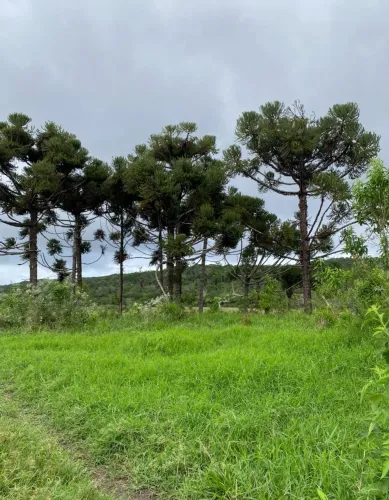 Fazenda de 482 tarefas(210 hectares) em Bonito, Chapada Diamantina