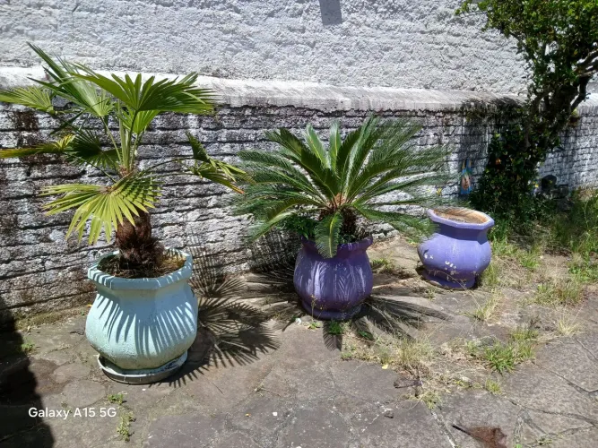 VASOS DE CONCRETO COM PLANTAS