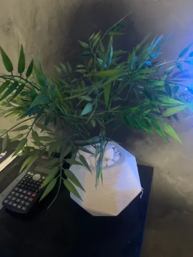 Planta artificial com pote e pedras