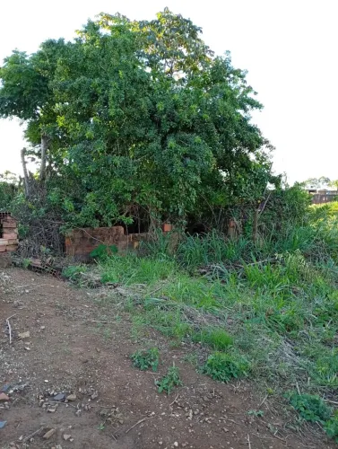 Terreno 10x20 no Loteamento Novo Rosário 