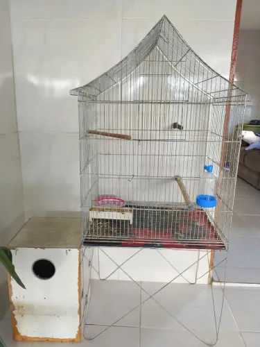 Gaiola + Ninho