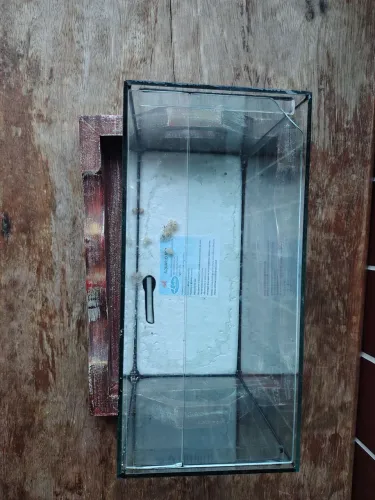 Aquário n2 para peixe