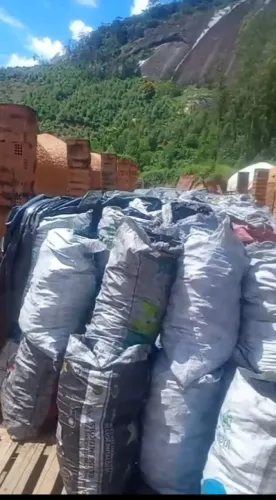 Carvão vegetal para empacotamento 