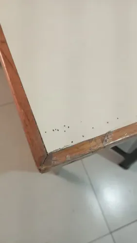 Doação mesa