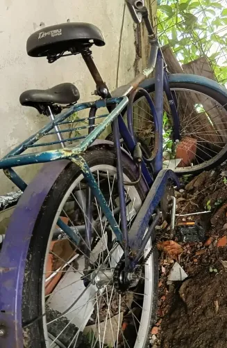 Bicicletas 