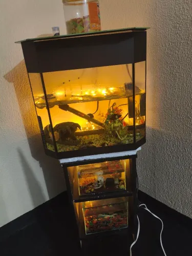 Aquários