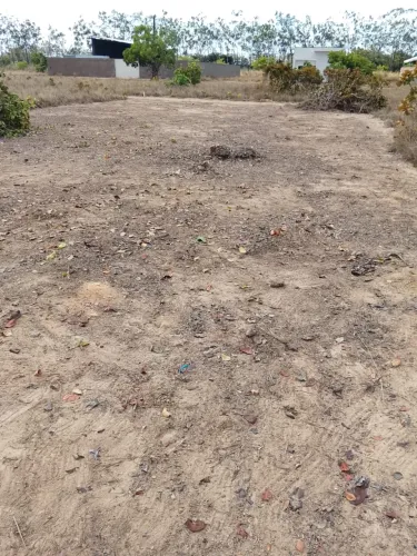 Terreno