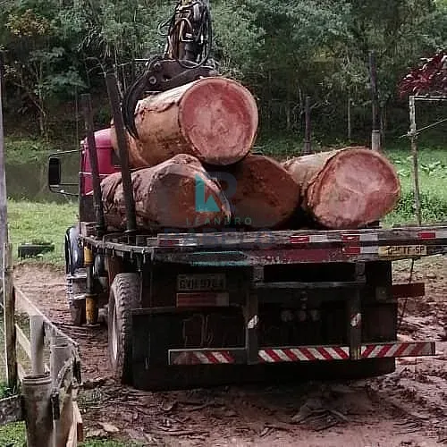 FAZENDA COM PLANTIO DE EUCALIPTOS Á VENDA EM PIQUETE-SP