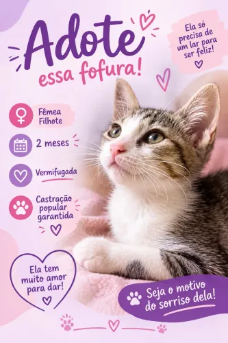 Gatinha adoção responsável 