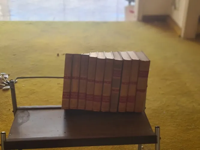 Livros