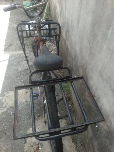 Cargueira