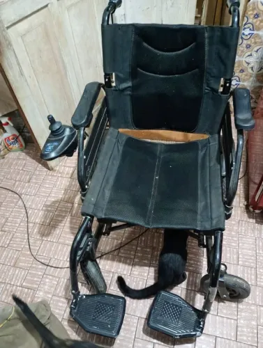Cadeira elétrica nova