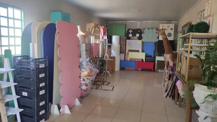 Vendo acervo completo Decoração de Festa