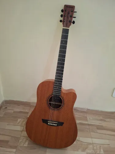 Violão Strinberg Florest Series Fs4d