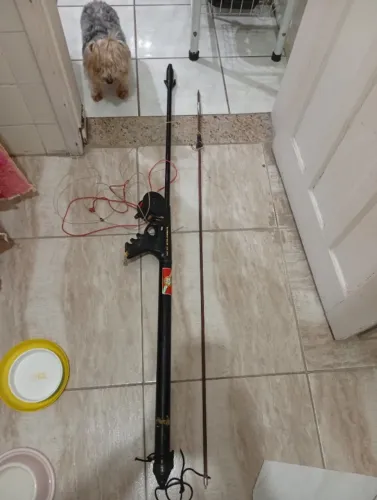 Vendo arma de mergulho cobra ataque.