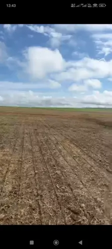 Fazenda 1.700 hec Arrendamento Soja campo verde MT. Plantando a 20 anos