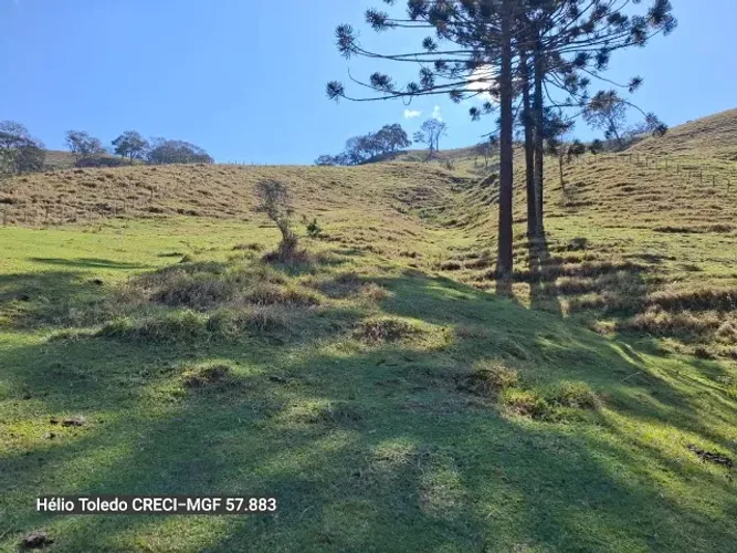 Excelente Chácara com 8.000m², Wenceslau Braz, Sul de Minas Gerais