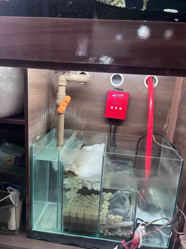 aquário 200 L completo com móvel?