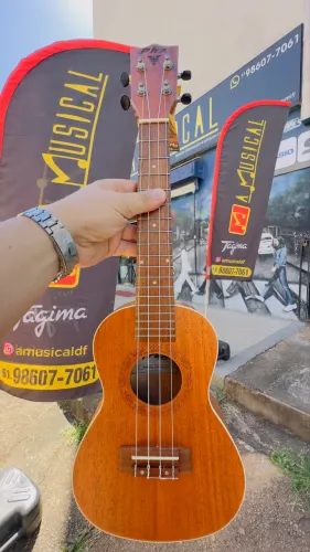 Ukulele PHX concert