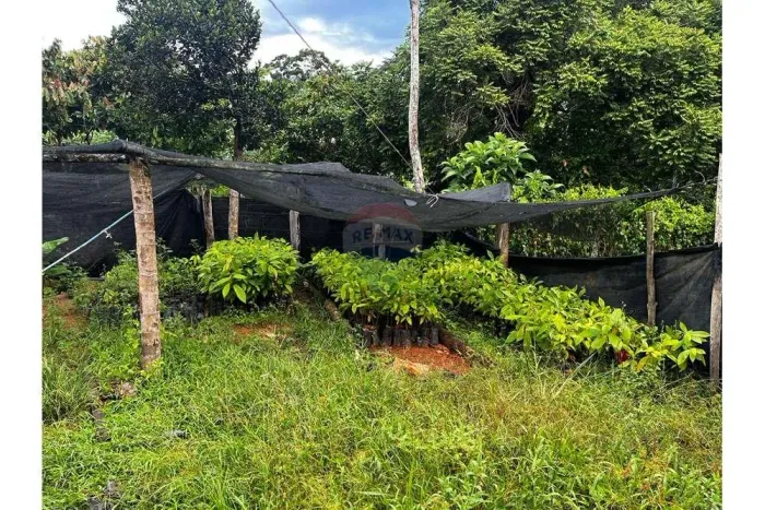 VENDO UM SITIO EM ITAMARAJU BAHIA
