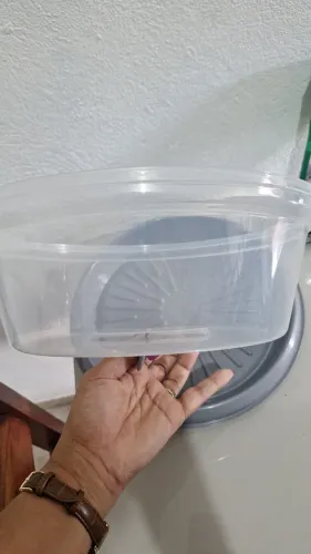 Boleira de plástico
