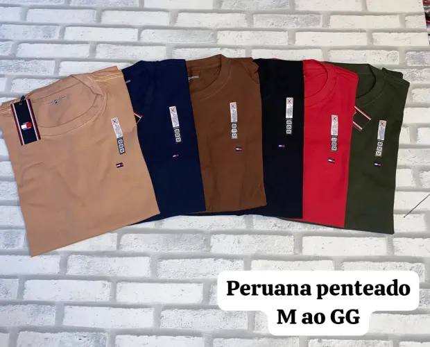 blusas peruana do p ao gg atacado e varejo unidade 70$ no pix