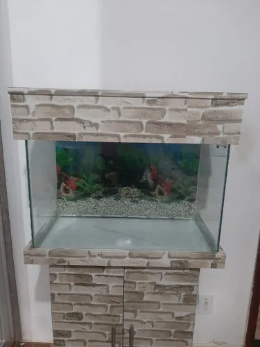 Aquário completo