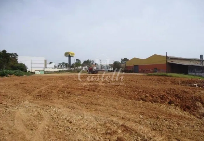 Terreno para alugar no Bairro Nova Rússia em Ponta Grossa Paraná