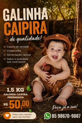 Galinha e ovos CAIPIRAS