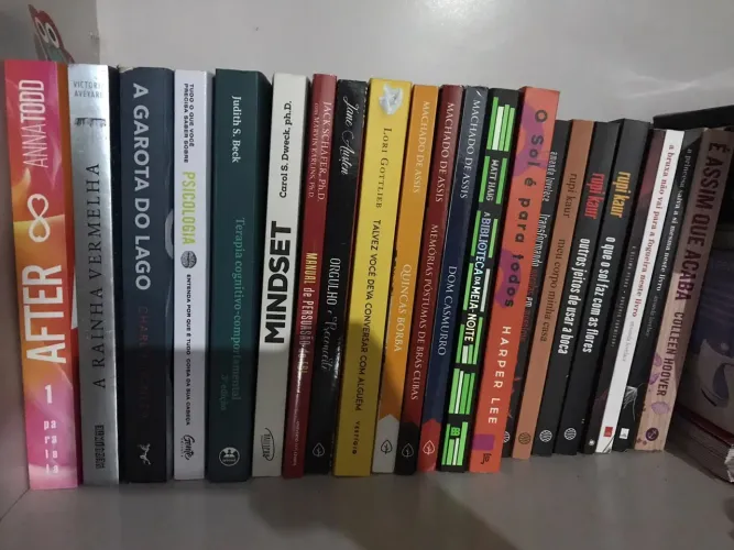 Livros de psicologia, fantasia, etc...