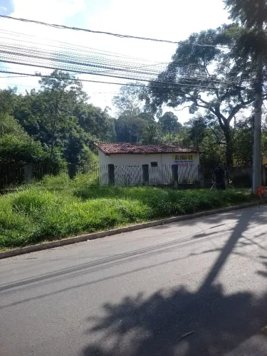 Limpeza de terreno