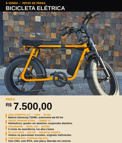 BICICLETA ELÉTRICA OGGI STREETGO S12