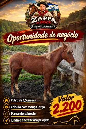 Vende-se potro 
