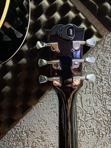 Guitarra Lespaul Phoenix Customizada