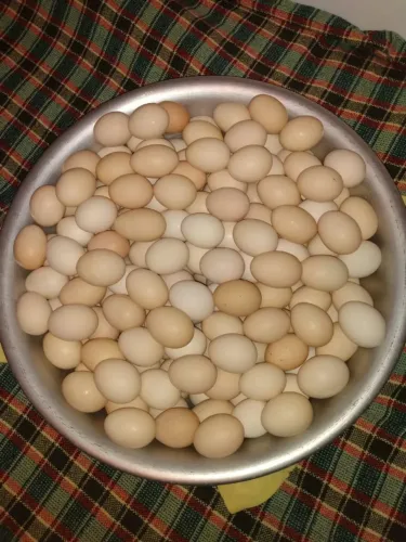 OVOS CAIPIRA
