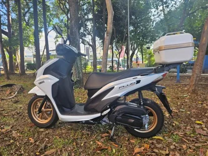 Fluo Hybrid 2025/2026 Seminova