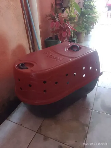 Vendo Casinha de Transporte Grande número 07 $ 450
