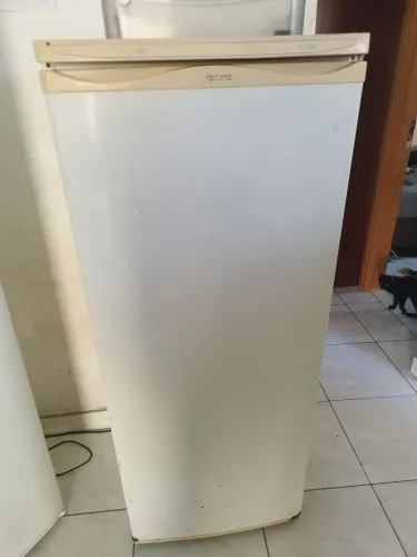 Geladeira não e fross Free 