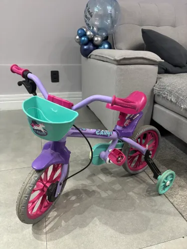 Bicicleta cecizinha
