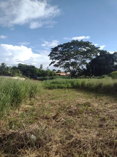 Vende-se terreno nas placas 