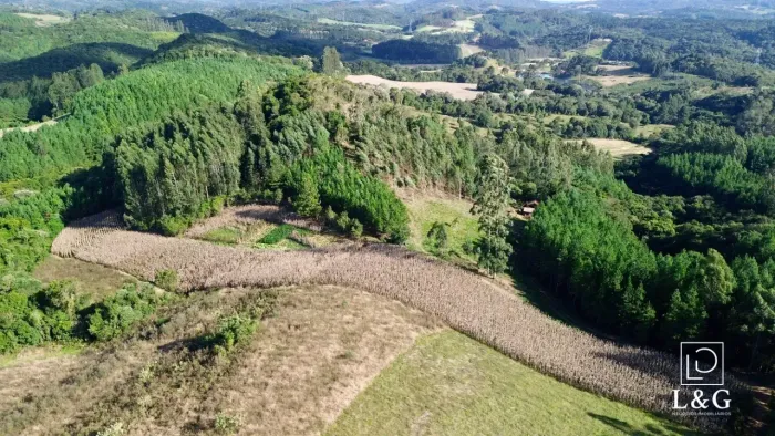 Terreno em Campo Alegre/SC.