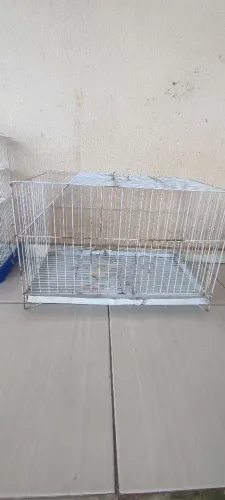 Gaiola roedores 
