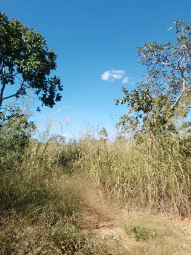 Terreno a venda