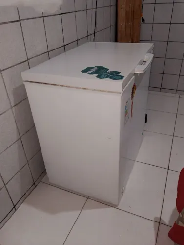 Freezer vertical