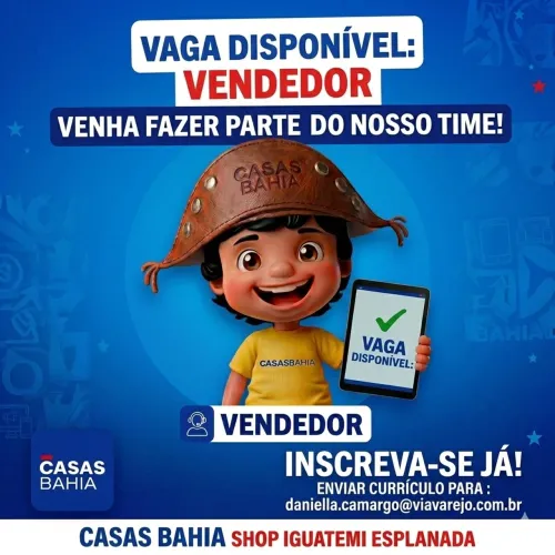 VENDEDOR - CASAS BAHIA