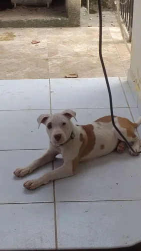 Doação responsável