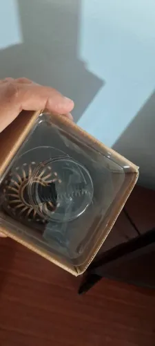 Escova rotativa Britânia
