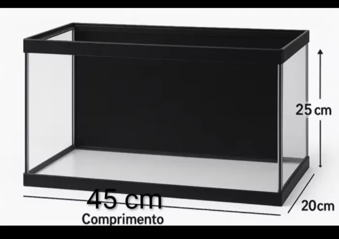 Aquário para Peixes ornamentais