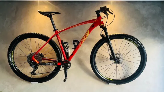 Bike aro 29 Oggi 7.3